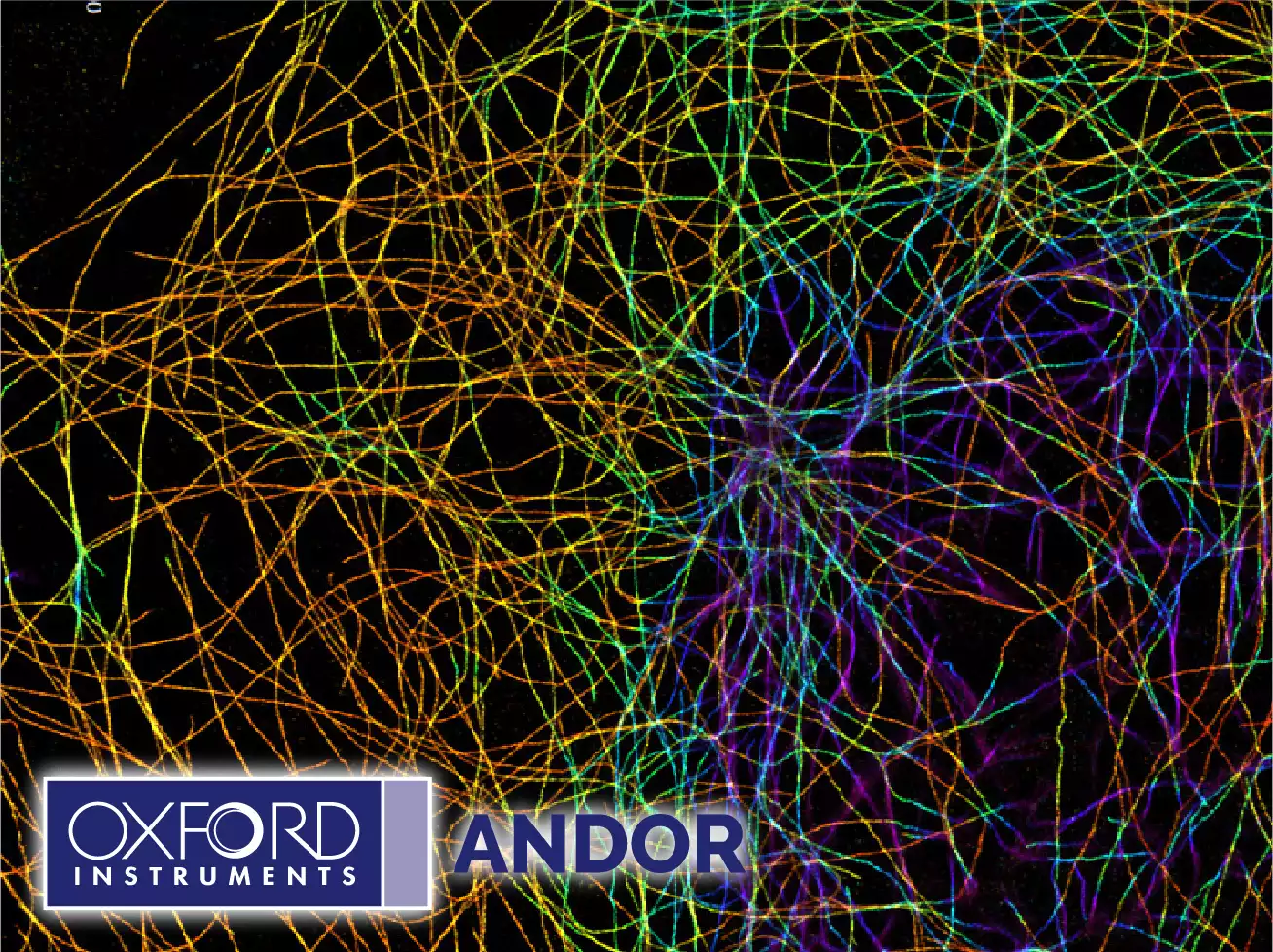 Andor High-Speed Confocal with 3D Super-Resolution